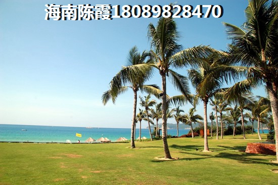 万宁国瑞城VS国祯·棕榈岛分析对比