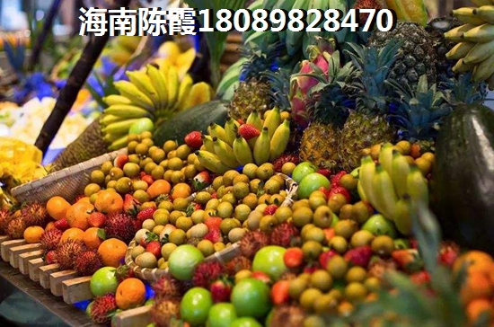 椰林居养生花园VS海岸漫谷分析对比