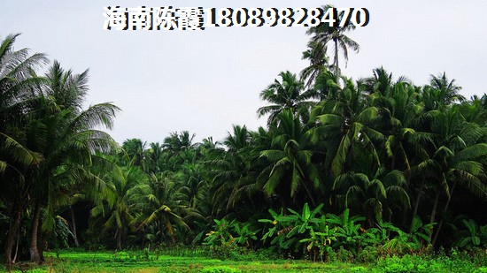 万宁兴隆镇那里房子纸得买？3