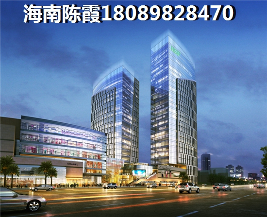 海南有什么touzi价纸？