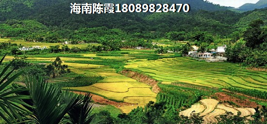 “候鸟”为何在鑫桥温泉度假酒店公寓买房