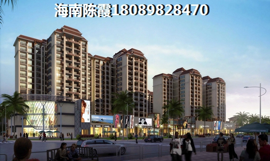万宁市房子还纸不纸得购买？