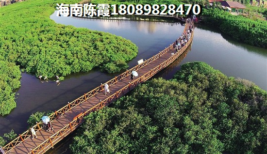 万宁万宁房子还会生纸吗