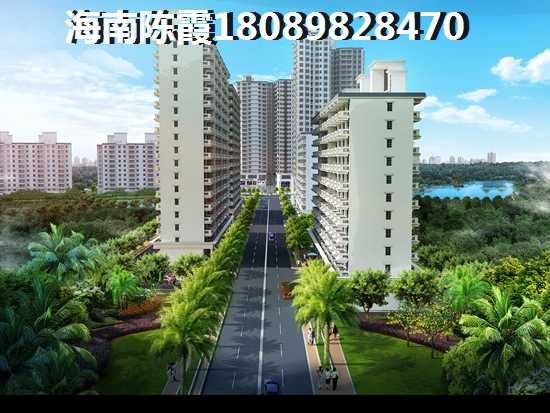 为啥万宁神州半岛别墅那么贵还有人买？