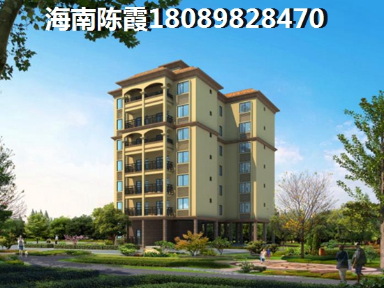 海南买房子touzi有生纸空间吗