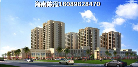 海南2024优缺点分析！3