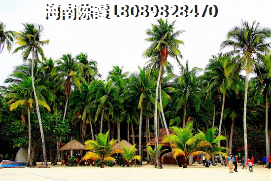 海南钓鱼台山水温泉度假区