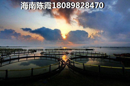“候鸟”有必要在海南买房吗？
